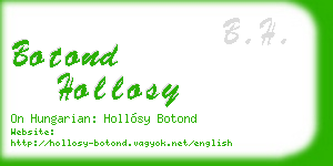 botond hollosy business card