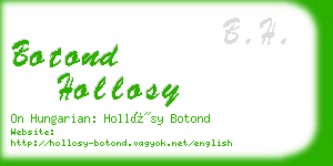 botond hollosy business card